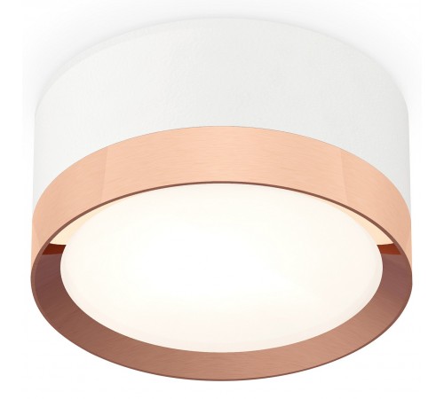 Накладной светильник Ambrella Light XS8101006 XS Накладной светильник Ambrella Light XS8101006 XS
