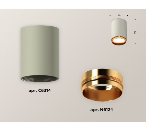 Накладной светильник Ambrella Light XS6314024 XS