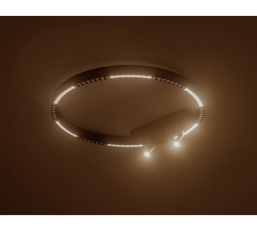 Накладной светильник Ambrella Light FL5808 FL Накладной светильник Ambrella Light FL5808 FL