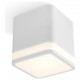 Накладной светильник Ambrella Light XS7805030 XS