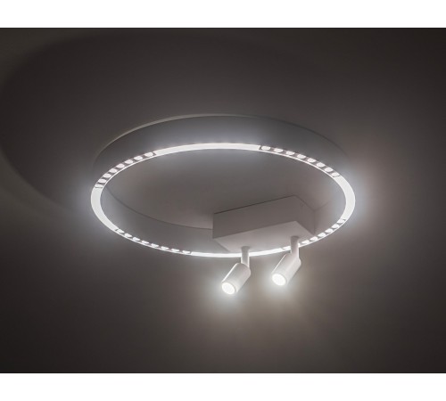 Накладной светильник Ambrella Light FL5808 FL Накладной светильник Ambrella Light FL5808 FL