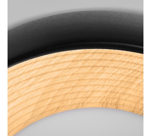 Накладной светильник Loft it 10255/350 Black Folk Накладной светильник Loft it 10255/350 Black Folk