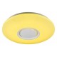 Накладной светильник Ambrella Light FF201 FF