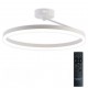 Светильник на штанге Natali Kovaltseva LED LAMPS 81121/1C FINAM