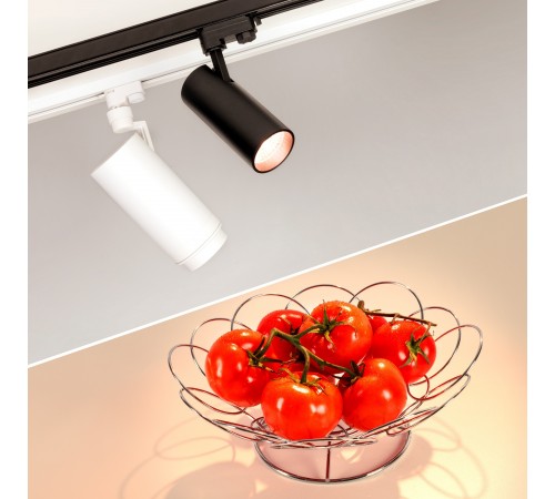 Светильник на штанге Arlight 032455 ZEUS FOOD