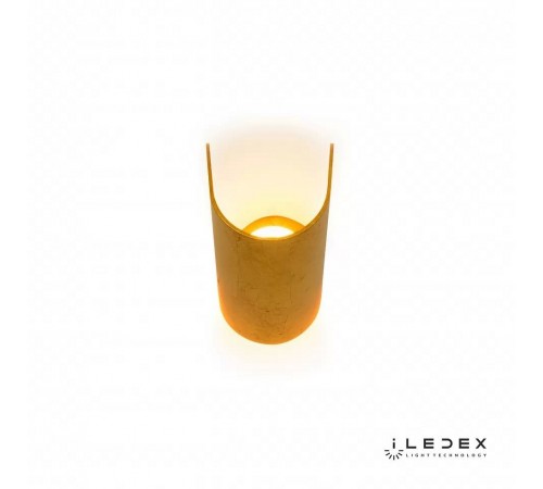 Накладной светильник iLedex ZD8077-6W Gold Cute Накладной светильник iLedex ZD8077-6W Gold Cute