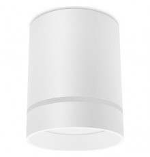 Накладной светильник Ambrella Light TN280 TN