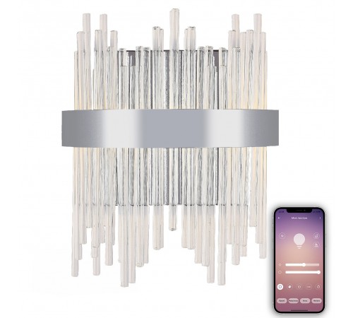 Накладной светильник Natali Kovaltseva LED LAMPS 81119/1W LED LAMPS 81119 Накладной светильник Natali Kovaltseva LED LAMPS 81119/1W LED LAMPS 81119