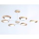 Люстра на штанге Ambrella Light FL51615 FL