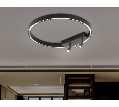 Накладной светильник Ambrella Light FL5808 FL Накладной светильник Ambrella Light FL5808 FL