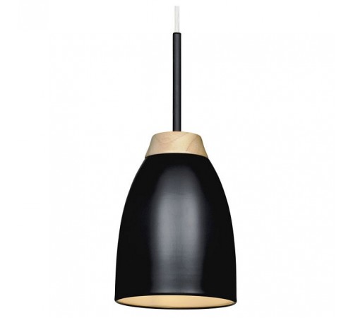 Подвесной светильник Loft it LOFT4402A-BL Watchman Подвесной светильник Loft it LOFT4402A-BL Watchman