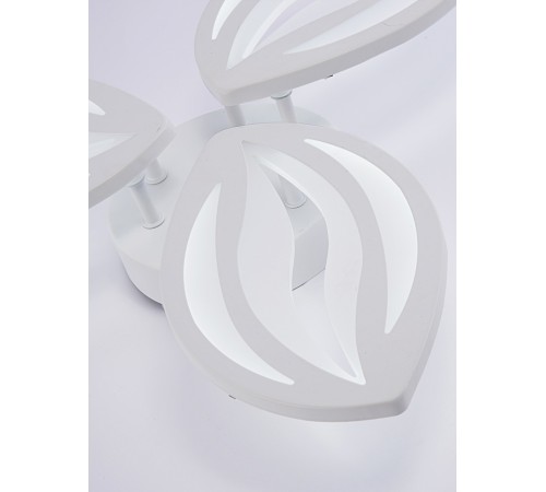 Потолочная люстра Natali Kovaltseva LED LAMPS 81456 SM