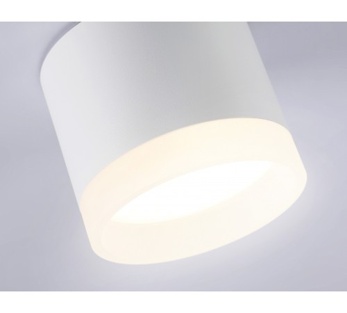 Накладной светильник Ambrella Light TN5365 TN Накладной светильник Ambrella Light TN5365 TN