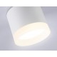 Накладной светильник Ambrella Light TN5365 TN