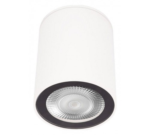 Накладной светильник Loft it 10344 White Rush Накладной светильник Loft it 10344 White Rush