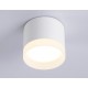 Накладной светильник Ambrella Light TN5365 TN