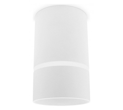 Накладной светильник Ambrella Light TN3411 TN