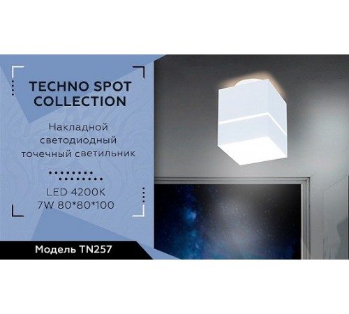 Накладной светильник Ambrella Light TN257 TN