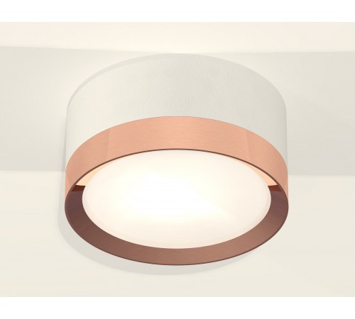 Накладной светильник Ambrella Light XS8101006 XS Накладной светильник Ambrella Light XS8101006 XS