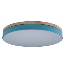 Накладной светильник Loft it 10001/36 Blue Axel