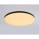 Накладной светильник Ambrella Light FZ2004 FZ