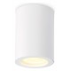 Накладной светильник Ambrella Light TN22797 TN