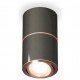 Накладной светильник Ambrella Light XS7403100 XS