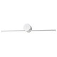 Подсветка для картины Escada 10291/1LED Silver Line