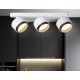 Спот Ambrella Light TN71291 TN