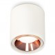 Накладной светильник Ambrella Light XS7722005 XS