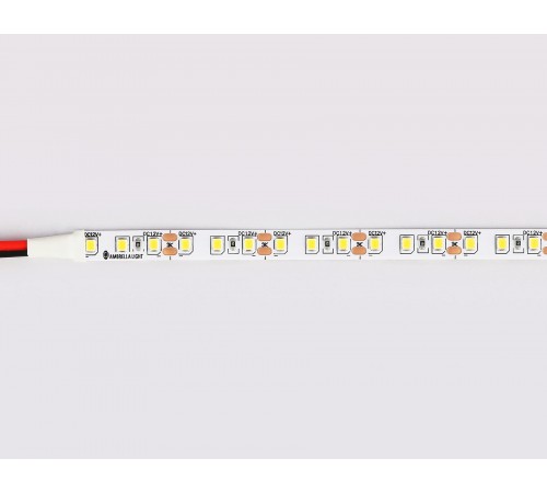 Лента светодиодная Ambrella Light GS1101 GS Лента светодиодная Ambrella Light GS1101 GS