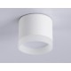 Накладной светильник Ambrella Light TN5365 TN