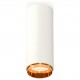 Накладной светильник Ambrella Light XS6342005 XS
