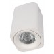 Накладной светильник Loft it 10329 White Cup