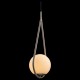 Подвесной светильник Loft it LOFT2599-B Glob