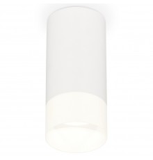 Накладной светильник Ambrella Light XS8161003 XS