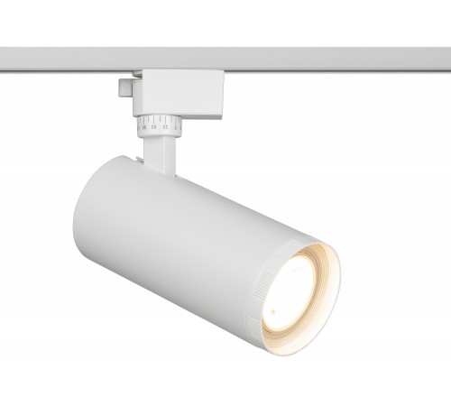 Светильник на штанге Эра TR59 - 3030 WH Светильник на штанге Эра TR59 - 3030 WH