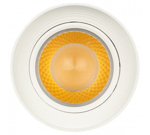 Светильник на штанге Эра TR59 - 3030 WH Светильник на штанге Эра TR59 - 3030 WH