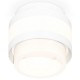 Накладной светильник Ambrella Light XS8418001 XS