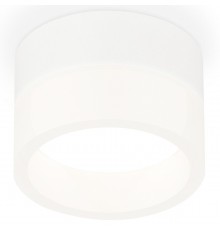 Накладной светильник Ambrella Light XS8101015 XS