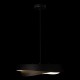 Подвесной светильник Loft it 10256P Black Petale