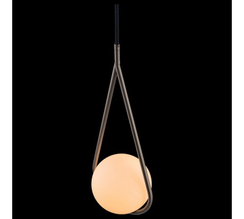 Подвесной светильник Loft it LOFT2599-B Glob