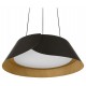 Подвесной светильник Loft it 10370P Black Lane
