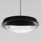 Подвесной светильник Loft it 10256P Black Petale