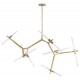 Люстра на штанге Loft it 10399/14 GD Agnes