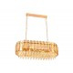 Подвесной светильник Ambrella Light TR5074 TR