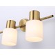 Спот Ambrella Light TR3972 TR