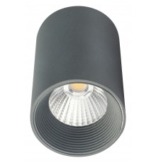 Накладной светильник Escada 20003SMU/01LED SGY 20003