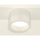 Накладной светильник Ambrella Light XS8101015 XS