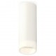Накладной светильник Ambrella Light XS6342043 XS
